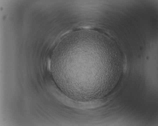 X0000053140046200507181941