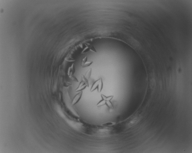 X0000053140072200507181941