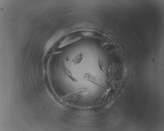 X0000053140245200507181937