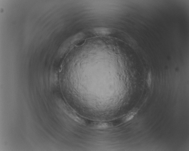 X0000053140330200507181937