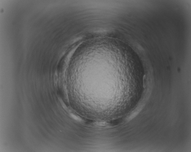 X0000053140528200507181933