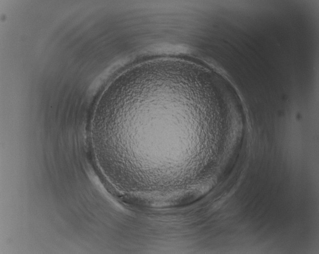 X0000053140581200507181932
