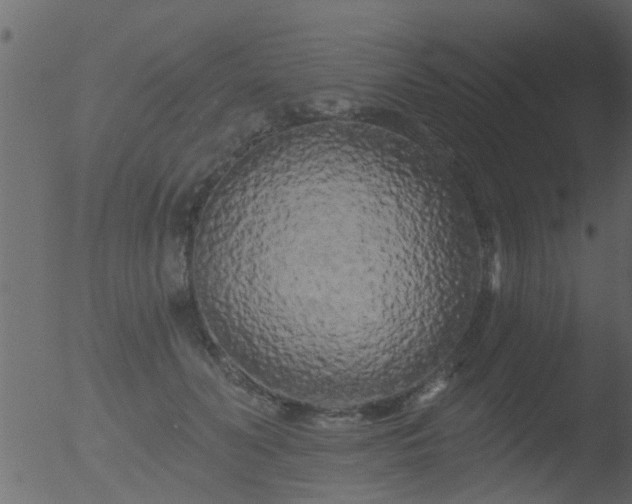 X0000053140606200507181932