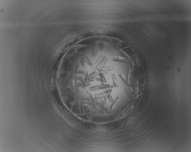 X0000053140738200507181929