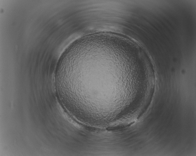 X0000053140798200507181929
