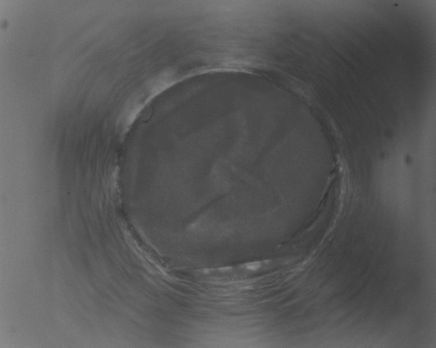 X0000053141260200507181921