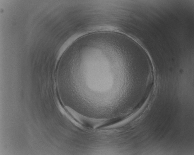 X0000053141389200507181918