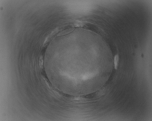 X0000053141443200507181918