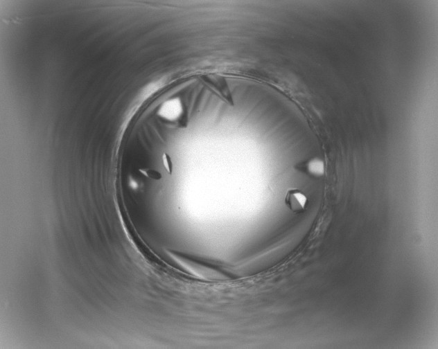 X0000053140003200507251828