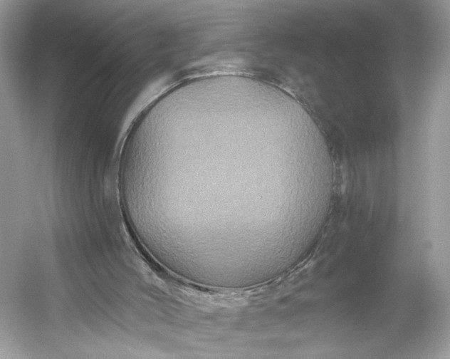 X0000053140004200507251827