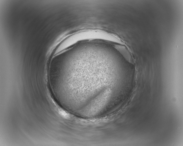 X0000053140005200507251827