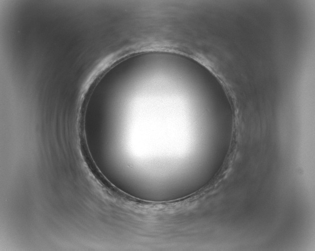X0000053140007200507251827