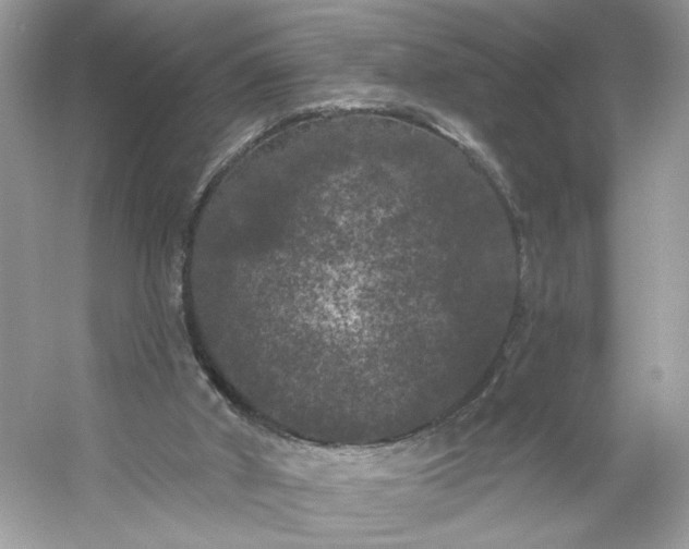 X0000053140010200507251827