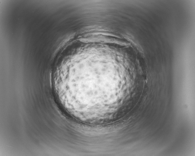 X0000053140014200507251827