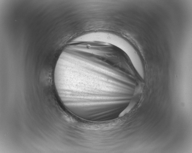 X0000053140017200507251827
