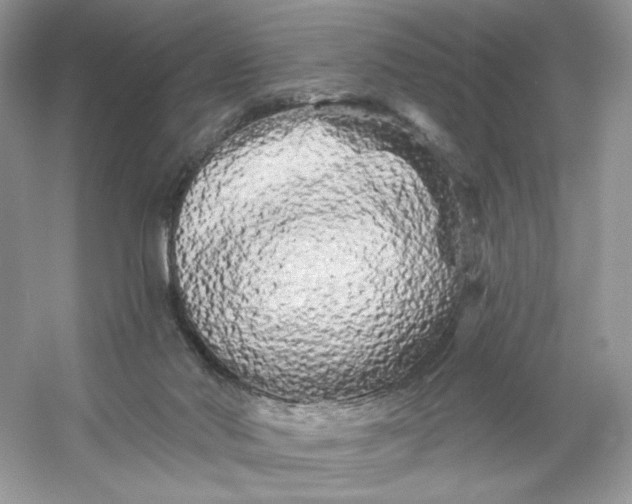 X0000053140022200507251827