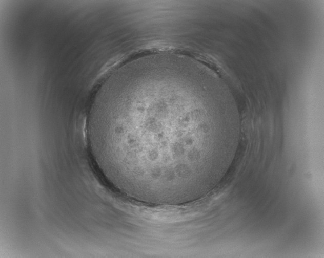 X0000053140024200507251827