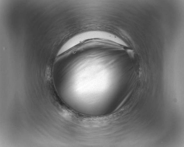 X0000053140025200507251827