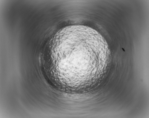 X0000053140026200507251827