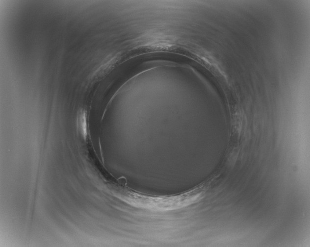 X0000053140027200507251827