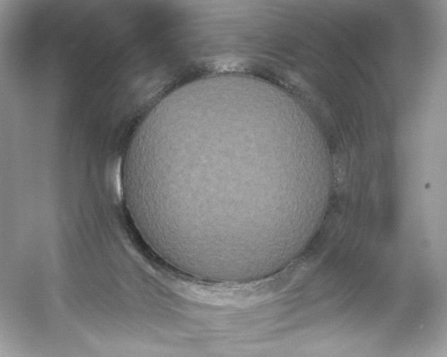 X0000053140028200507251827