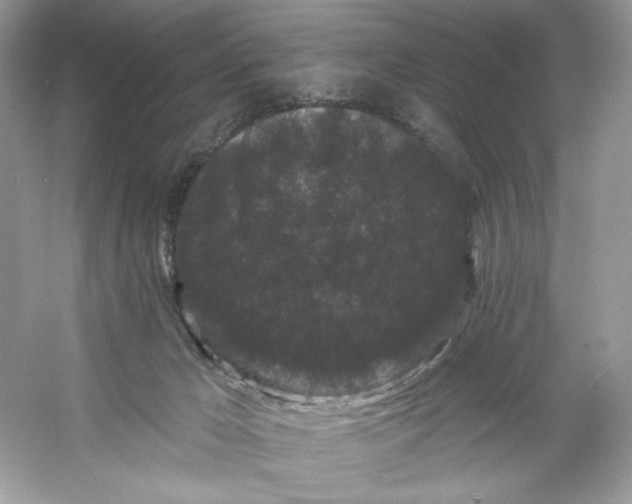 X0000053140029200507251827