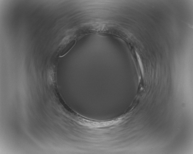 X0000053140035200507251827