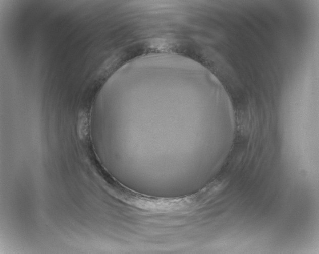 X0000053140036200507251827