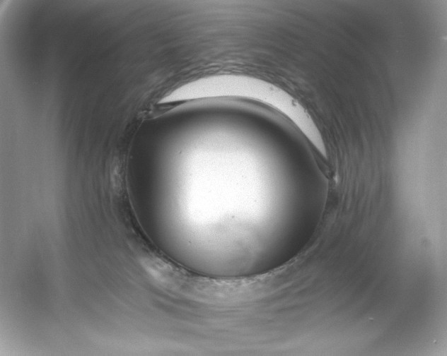 X0000053140037200507251827