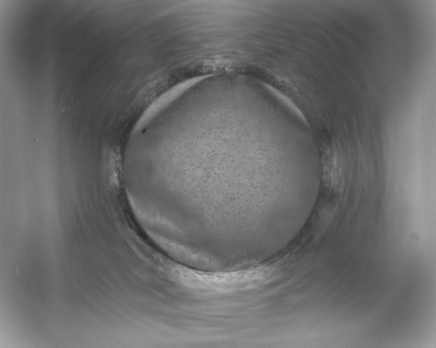 X0000053140038200507251827