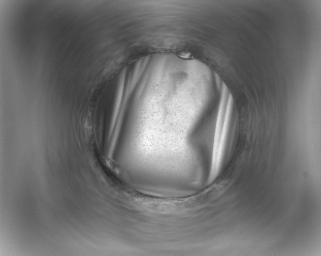 X0000053140040200507251827