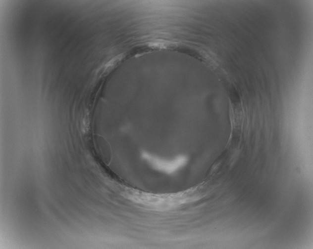 X0000053140043200507251827