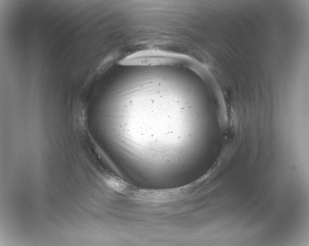X0000053140045200507251827
