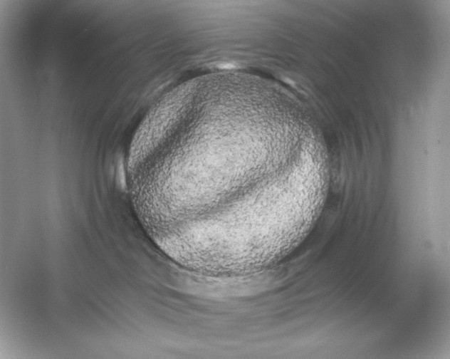 X0000053140046200507251827