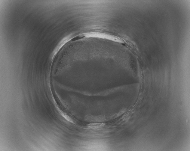 X0000053140051200507251826