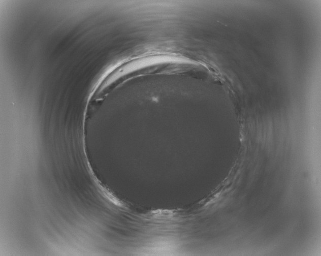 X0000053140052200507251826