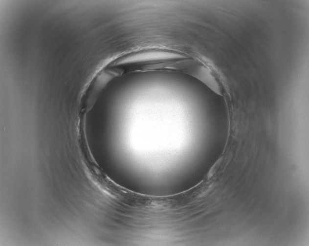X0000053140060200507251826