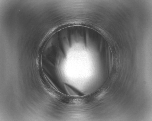 X0000053140064200507251826