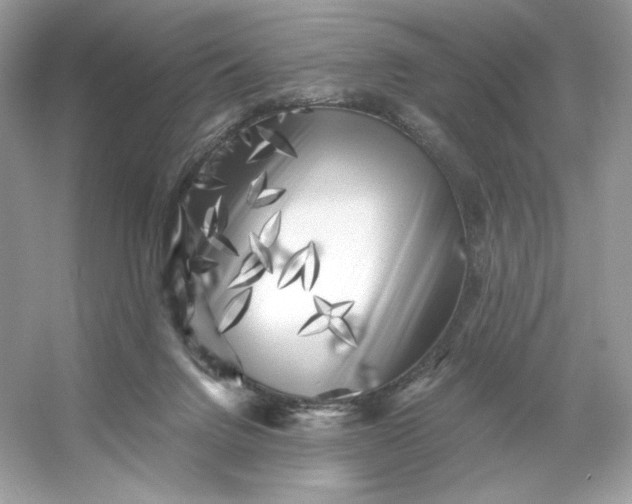 X0000053140072200507251826