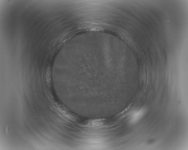 X0000053140078200507251826