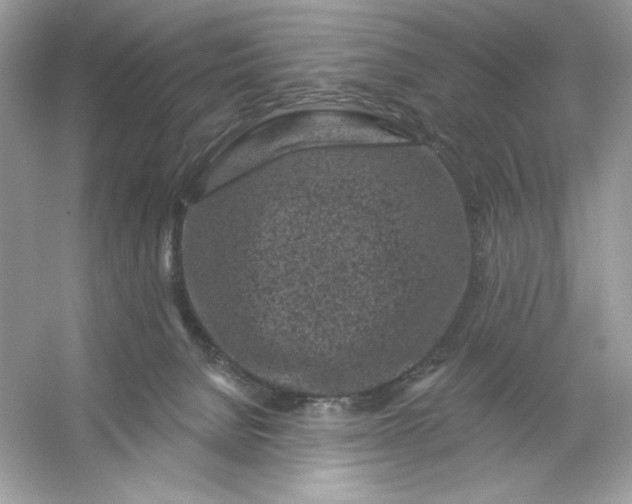 X0000053140080200507251826