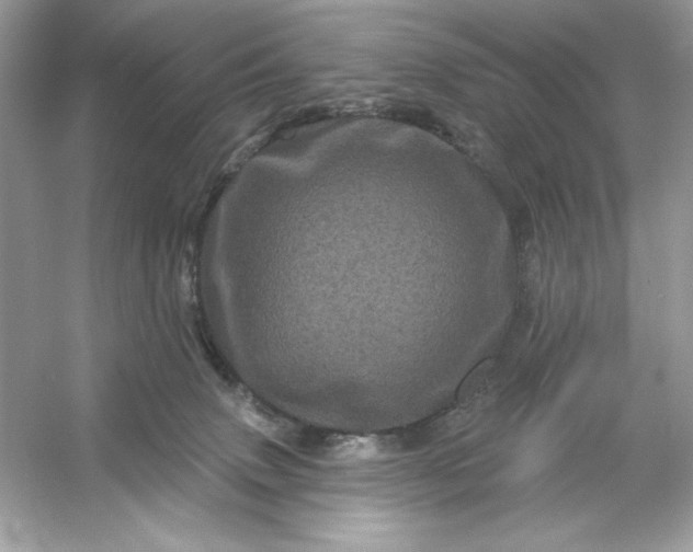 X0000053140083200507251826