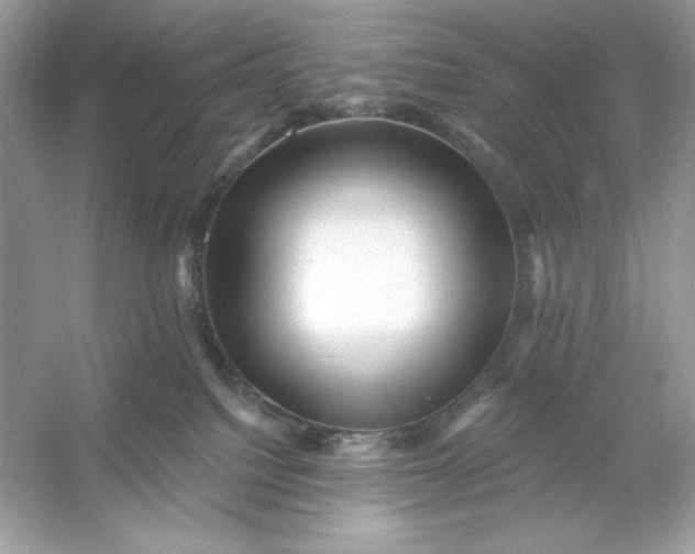 X0000053140088200507251827