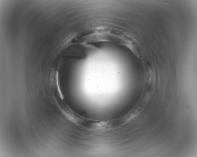 X0000053140092200507251827