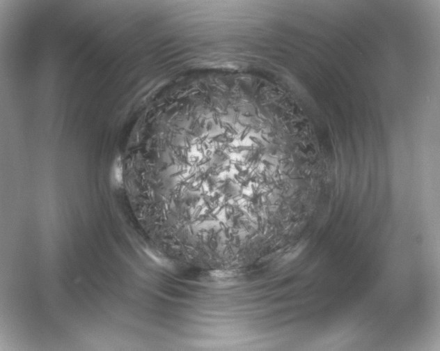 X0000053140095200507251827