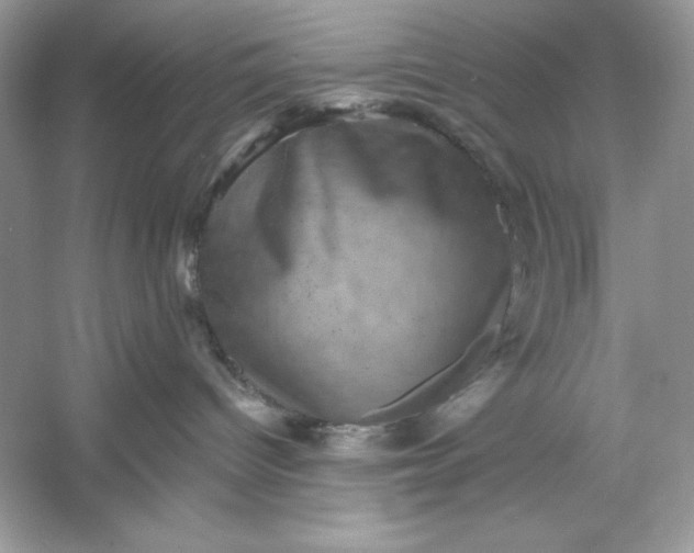 X0000053140096200507251827