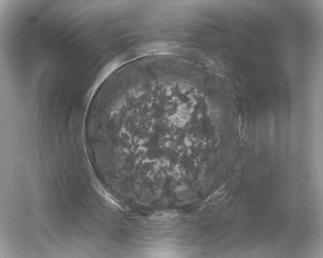 X0000053140099200507251826