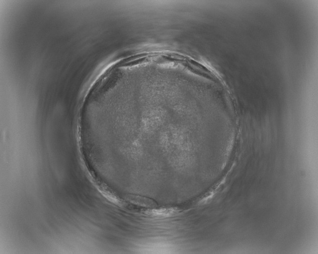 X0000053140103200507251826