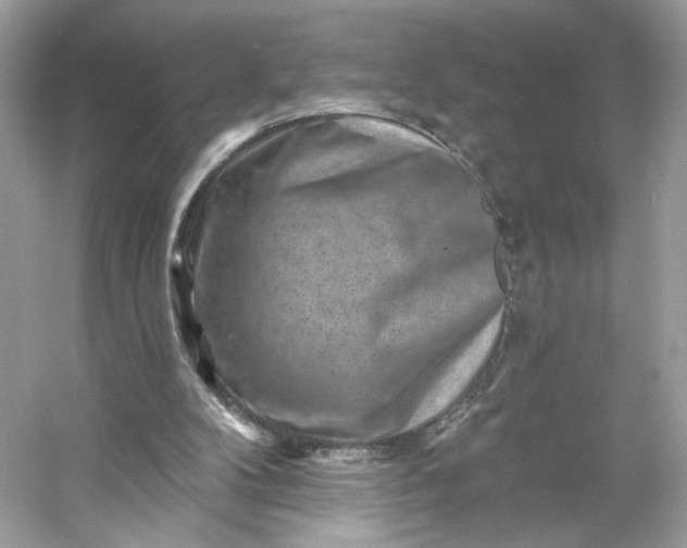 X0000053140104200507251826