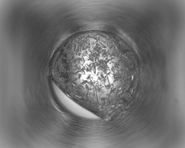 X0000053140107200507251826